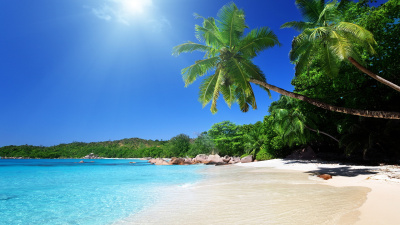 Tropical Caribbean Beach