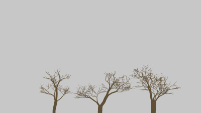 Leafless Trees