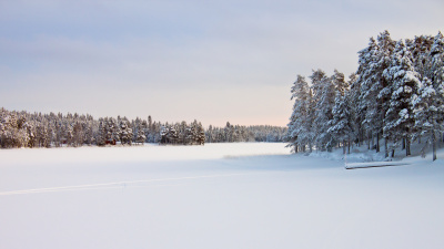 Landscape In Snow